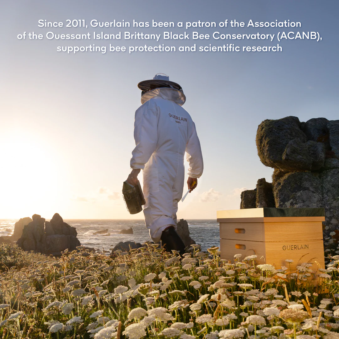 Thumbnail 17
